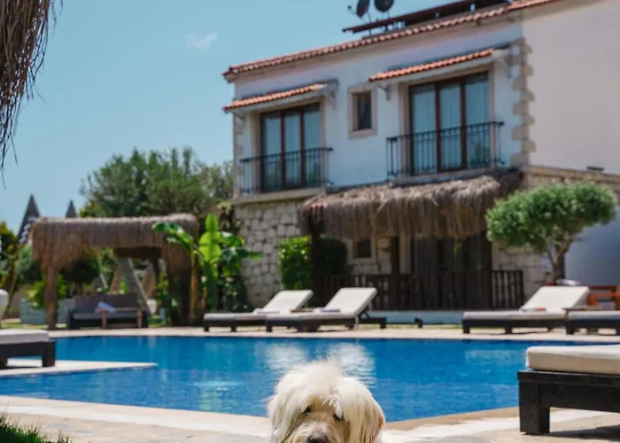 Albeon Luxury Hotel - Alacati אלאקאטי