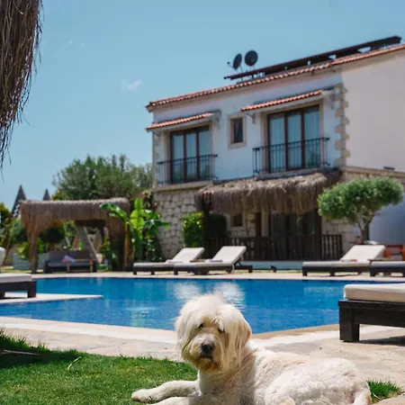 Albeon Luxury - Alacati